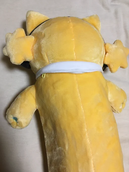 ダミャオの各部。 