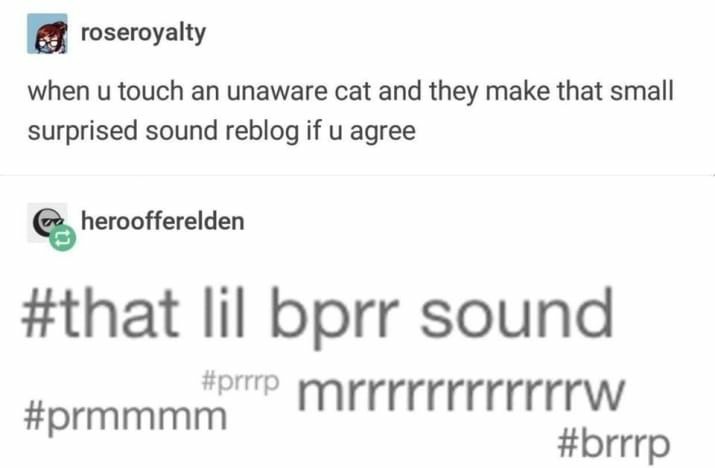 RT @themouseyouknow: Haha cat go bprr https://t.co/vDMXYhv6vJ