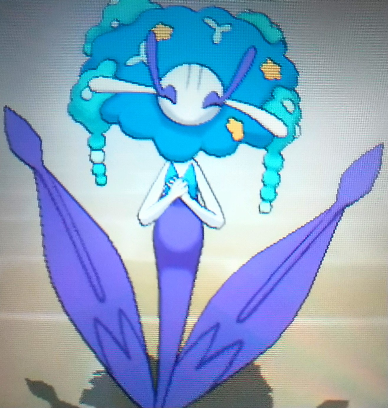 夕陽りんご 黄色の花と赤色の花の色違いフラージェスちゃんも出しました T Co Rs3f7elpjf Twitter