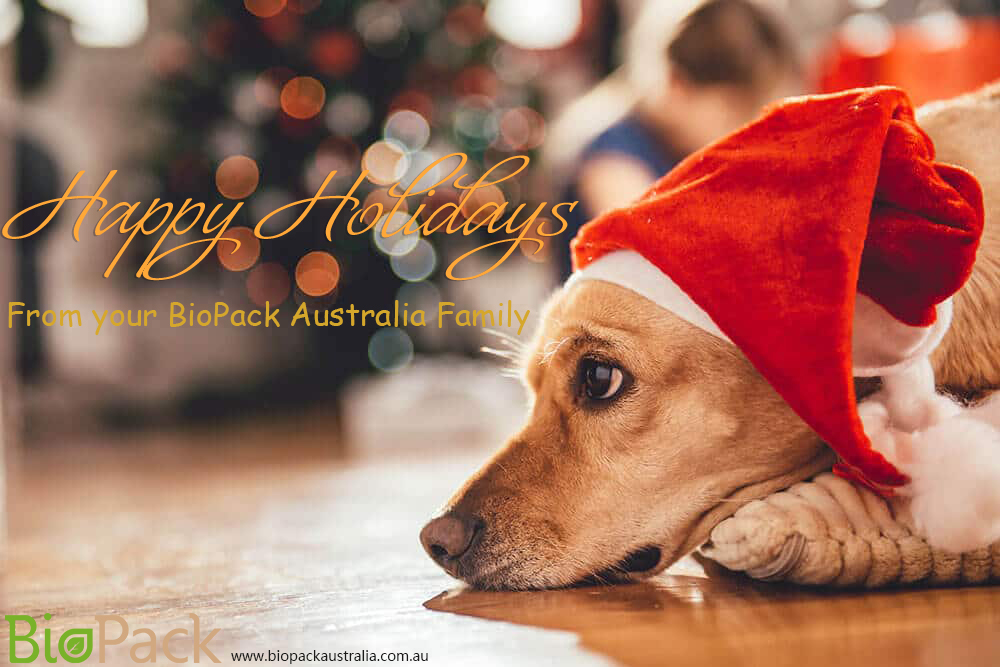 AustraliaBio's tweet image. Happy holidays! We wish you and you loved ones a happy, healthy Christmas &amp;amp; New Year! 🎄🎊
#Christmas #happyholidays #holidays #happynewyear