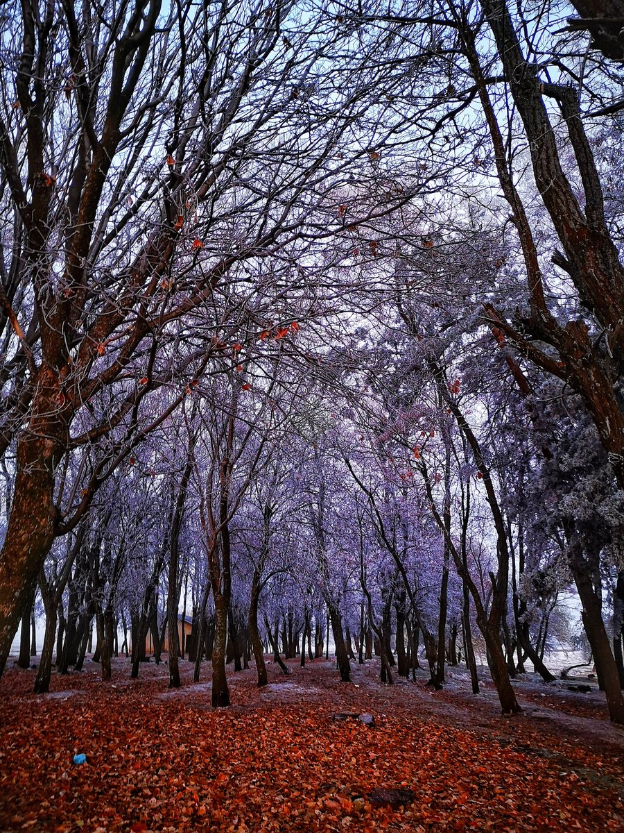 Bitlis 2020 Aralık
#bitlis #nationalgeographic #keşfet #hipaae
#gununkaresi #turkobjektif #portraits #photooftheday #ig_fotografdiyari #canon #ig_fotografdiyari  #igersturkey  #streetphotography  #anadolugram #earth_portraits #twitter