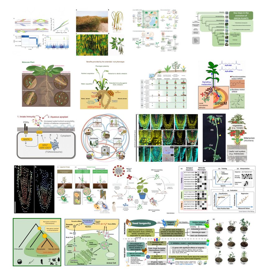 年の植物科学分野の注目論文を振り返る British Tea