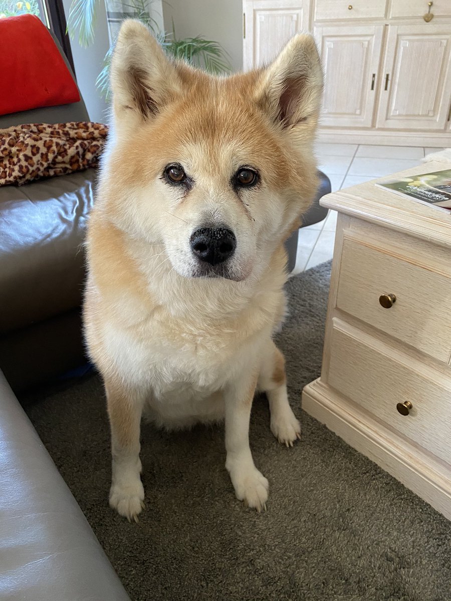 Brigitte tweet media