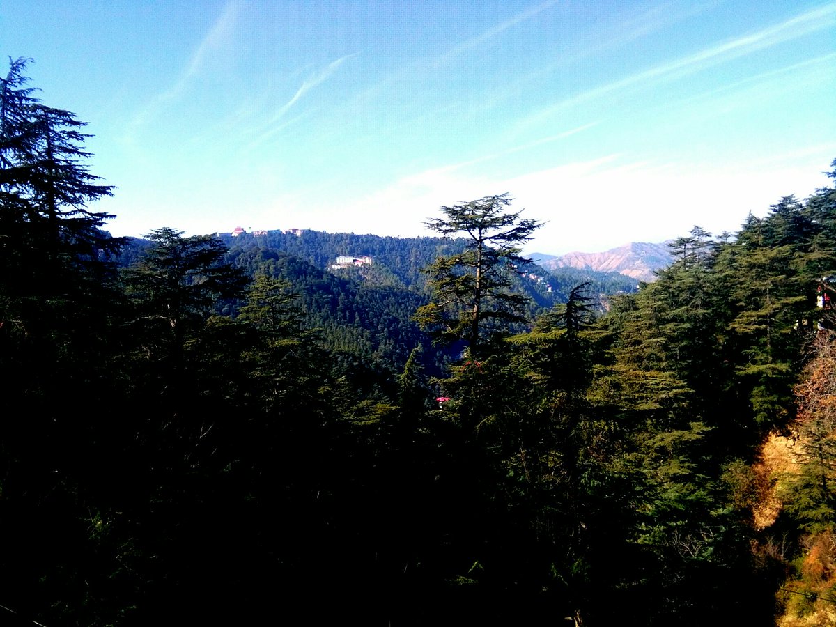suzalskitchen's tweet photo. Christmas 🎄 in Shimla.... 
#shimla #traveling #Christmas https://t.co/vlCWSo2VXD