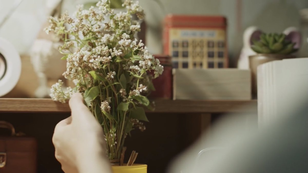 cewlixm's tweet image. 