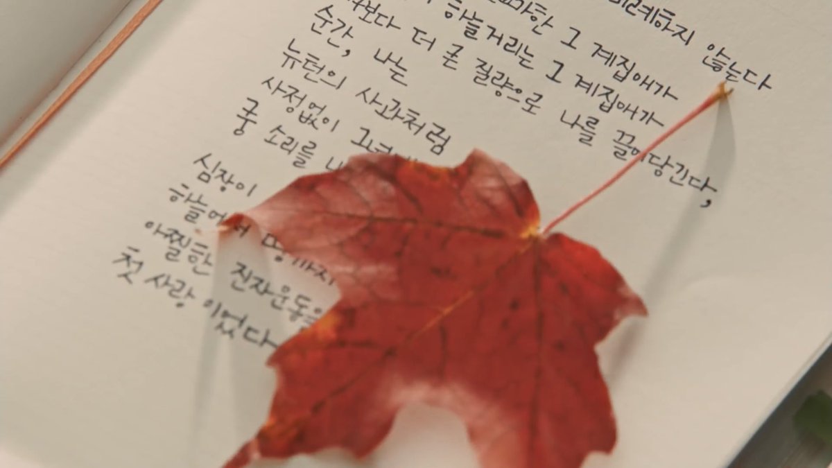 cewlixm's tweet image. 