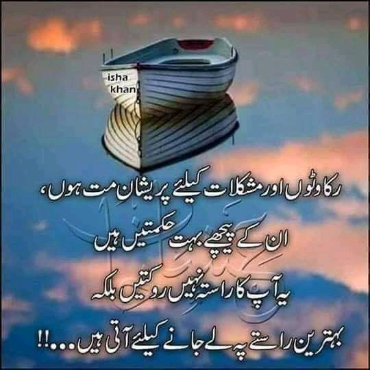 🥀Mohammad amir🇵🇰💖 zinda Dil💚🇵🇰786❤️ tweet media