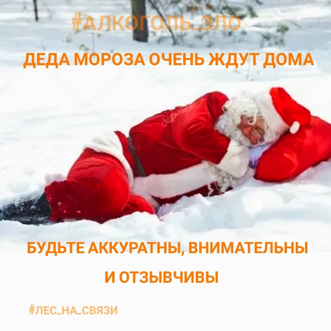Les_Na_Svyazy's tweet photo. Наступает прекрасное предновогоднее время: ожидание праздника,  лёгкая суматоха с приготовлением к нему,  надо успеть купить подарки родным и близким, никого не забыть; подготовиться к новогоднему пиршеству. И конечно же праздничные корпоративы на работе в реале и онлайн.
 👇👇👇 https://t.co/O8cHGTUbQx