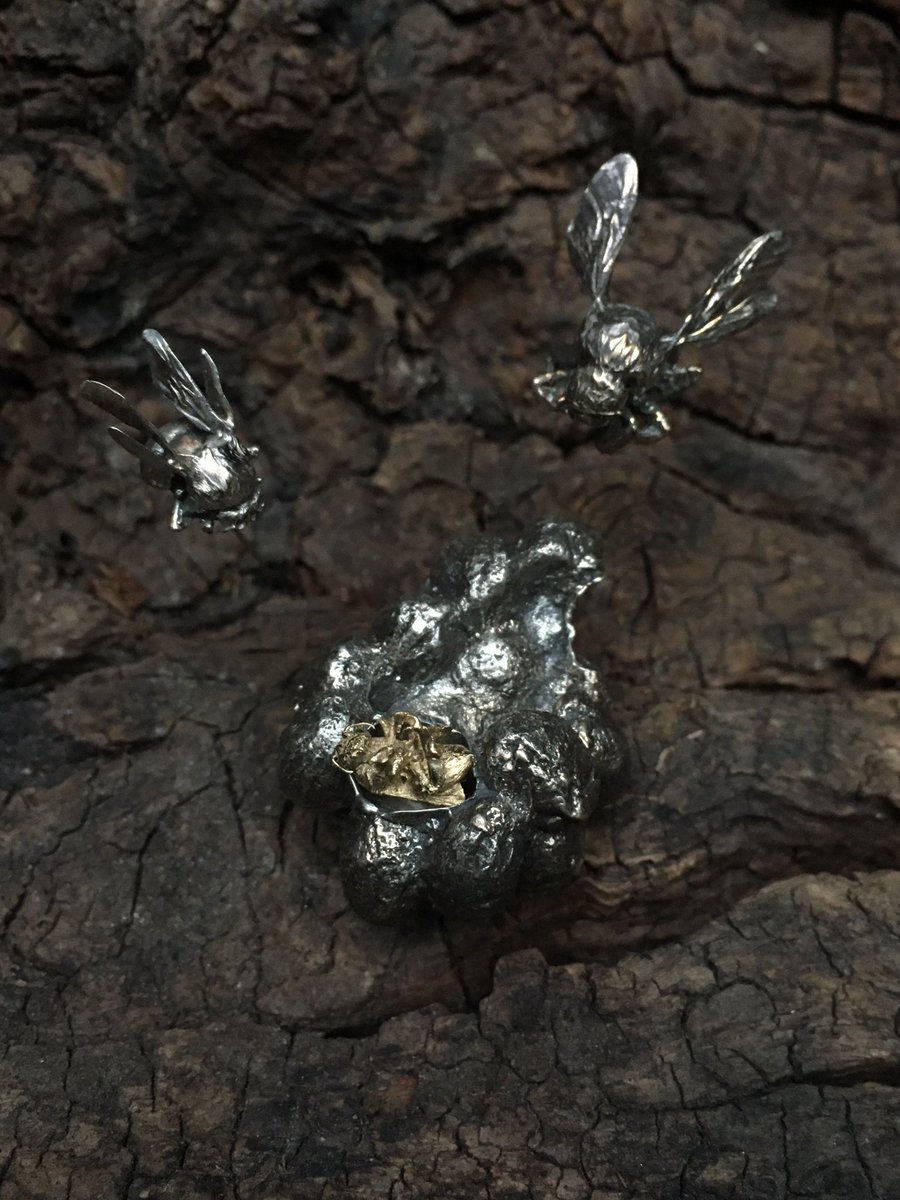 Justin Gilday tweet media