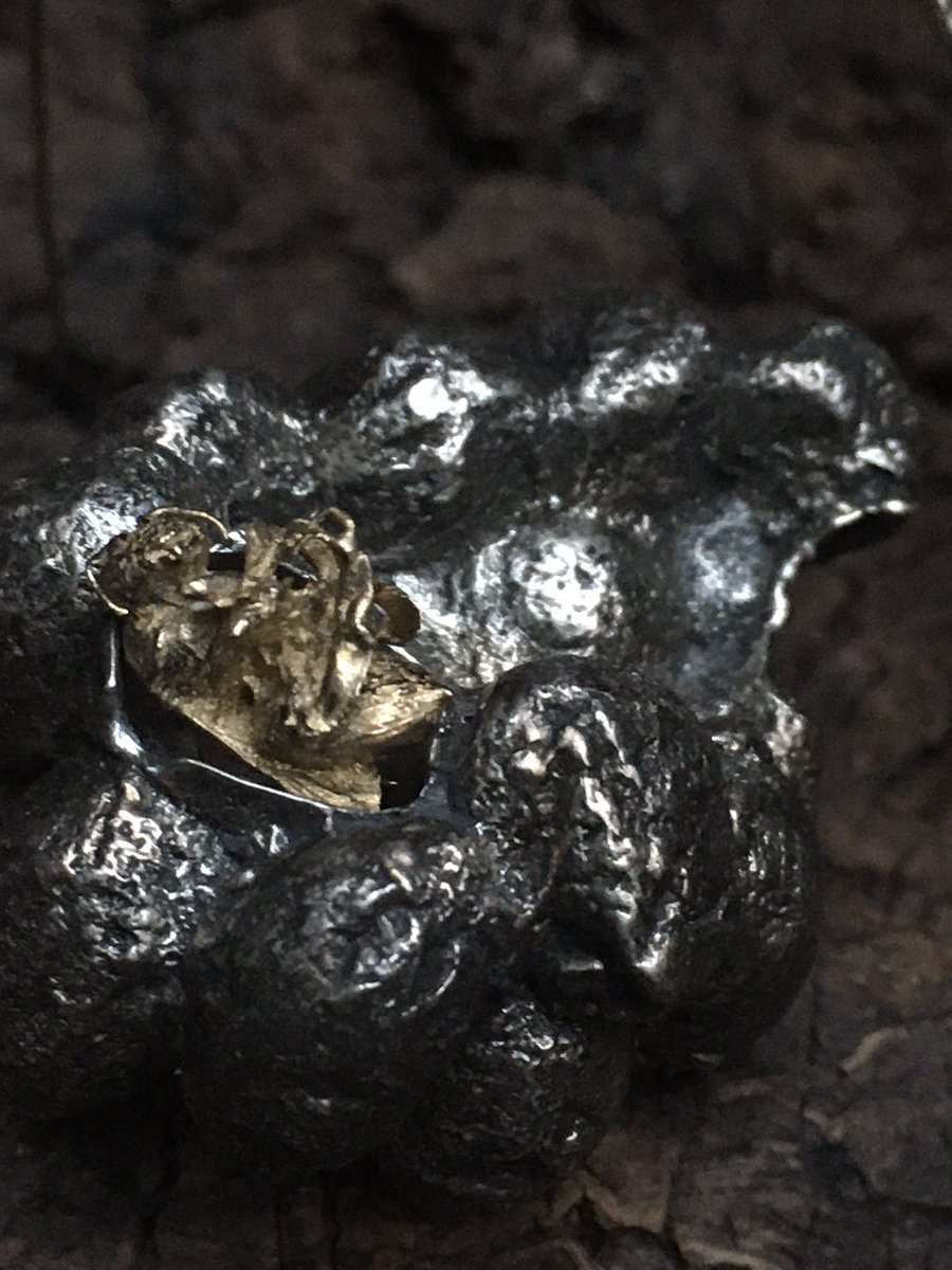 Justin Gilday tweet media