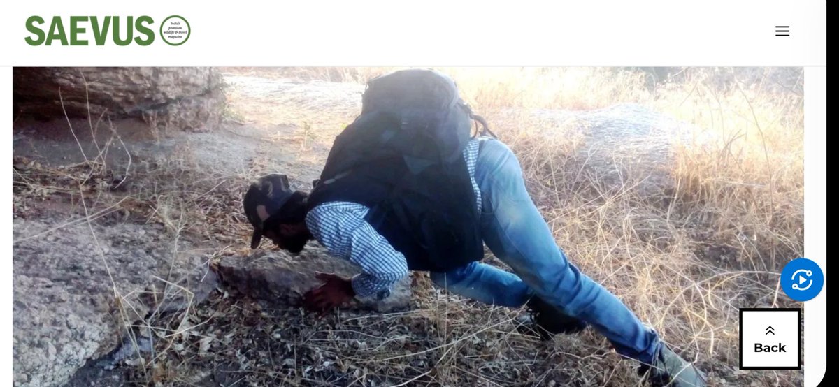 baba_tendua's tweet image. #sametime #samejagah 

#happiness ..When your prediction goes right. 🕵️‍♂️🐆🐾👣

#leopard #bigcat  #Jawai #Rabari #Rajasthan #wildlife #India #Olddays 

@SaevusWildlife #Discovery #Cameratrap