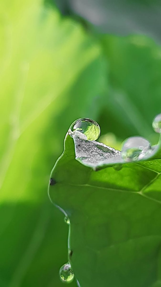 Paulammit's tweet image. #paulo_graphyy #jalandhar_stories