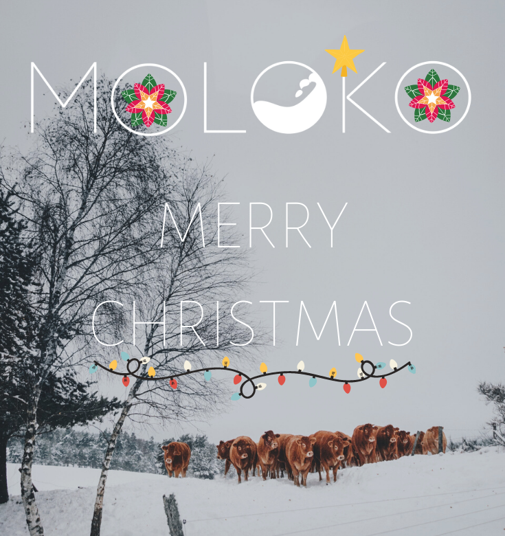 moloko_project photo