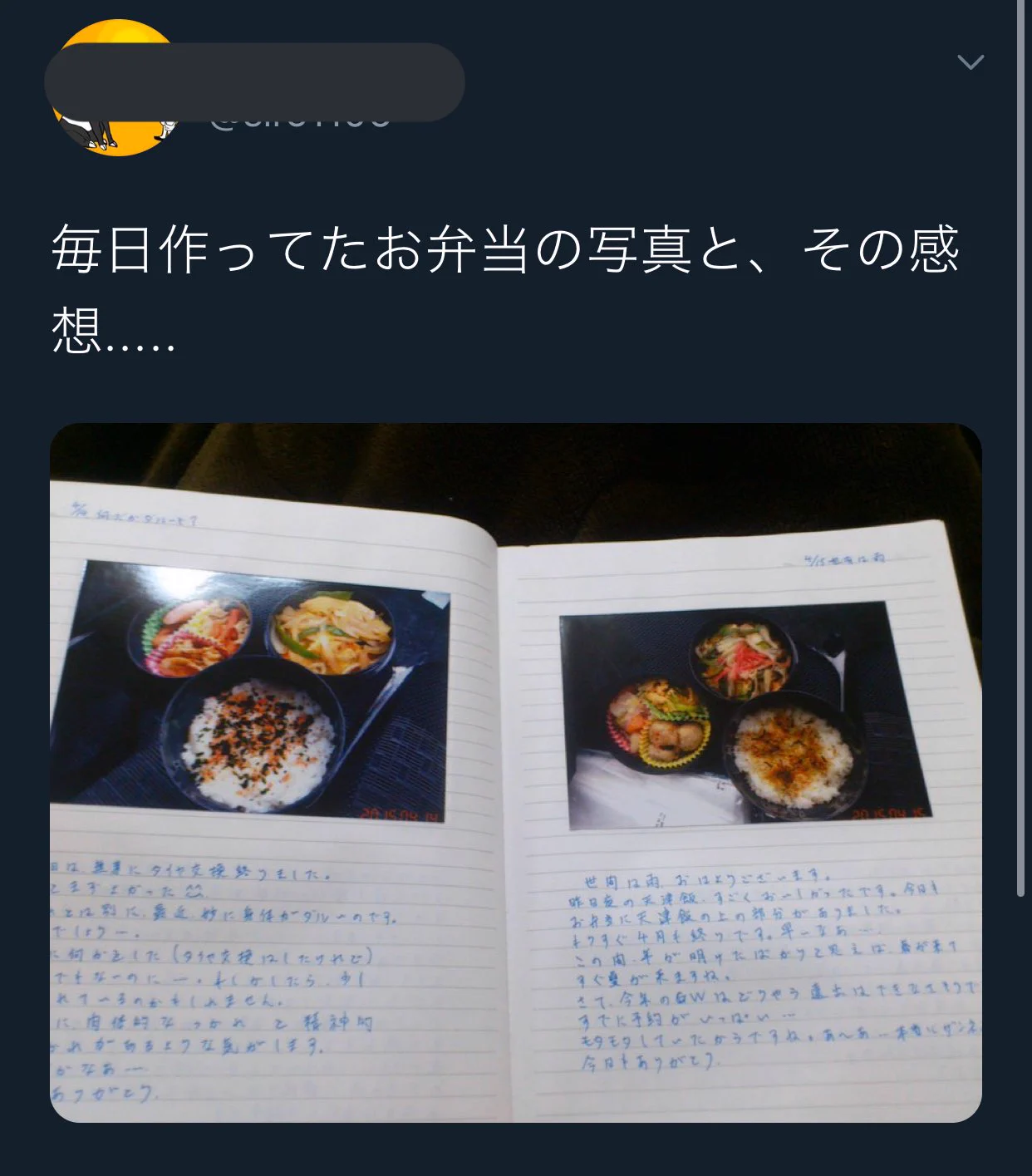 今年の旦那からのクリスマスプレゼントは？毎日作っていた弁当の写真と感想！