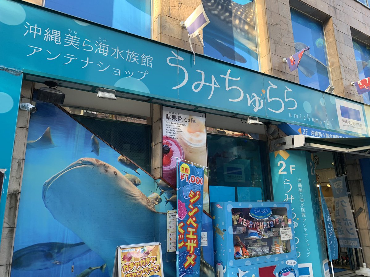 テス湖のテッシー 国際通りの 美ら海水族館アンテナショップ うみちゅらら で 水族館の半券を提示すると参加できるガチャガチャに挑戦 クリアファイルをもらいました それにしても 先月の水族館半券を持ってきた自分偉いです 財布を整理してない