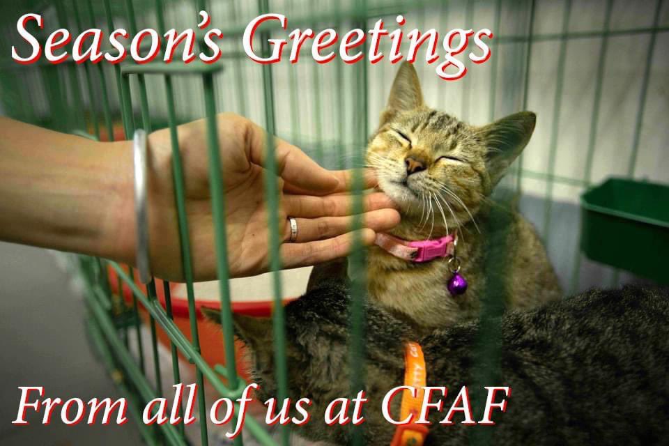 In a year that has been more challenging than any of us could have possibly imagined, we'd like to wish you all a happy holiday season, and hope that you and your loved ones stay safe and healthy. 

From all of us at CFAF, thank you for all your support over the past year.