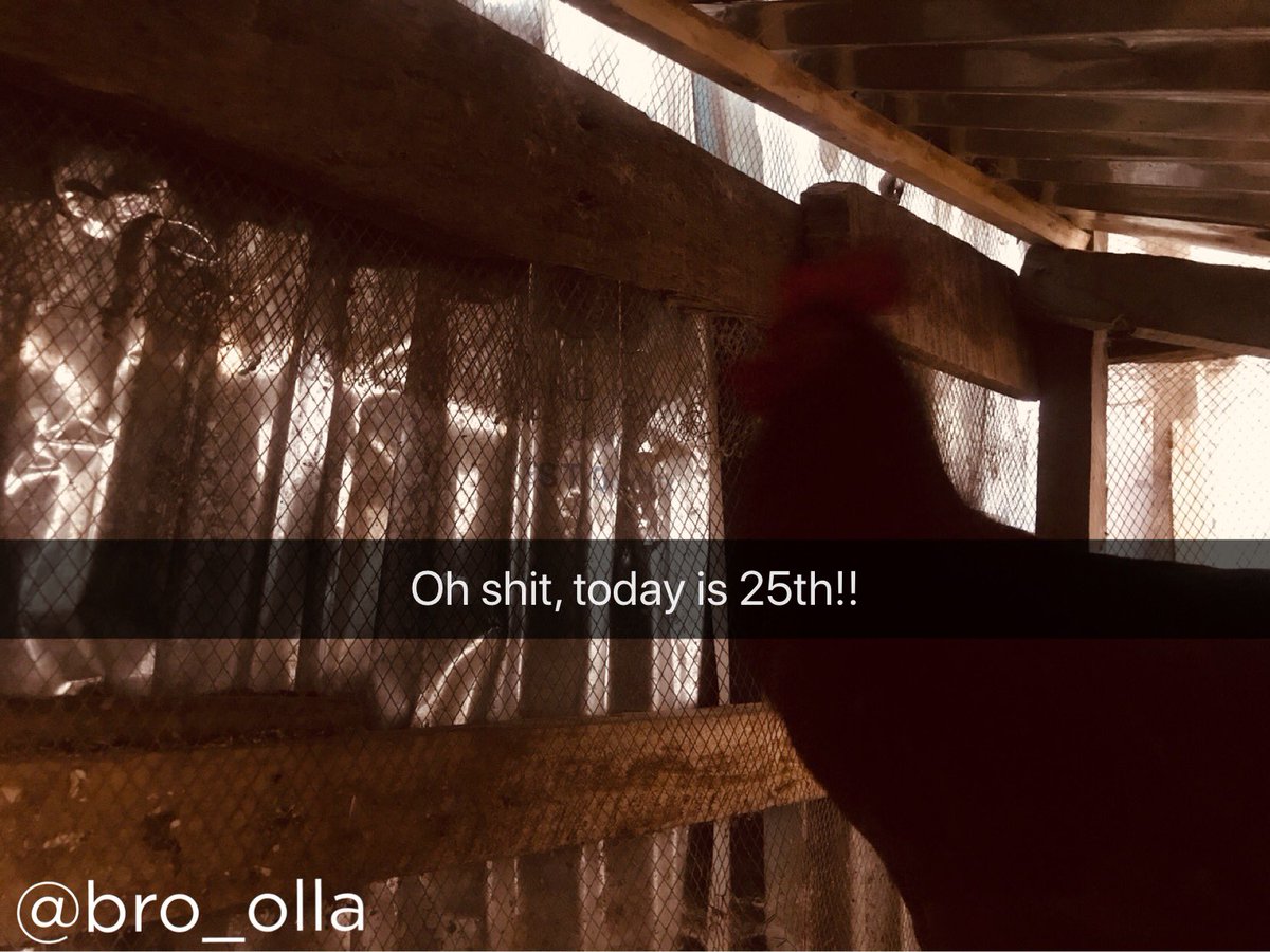 If chickens could talk. 