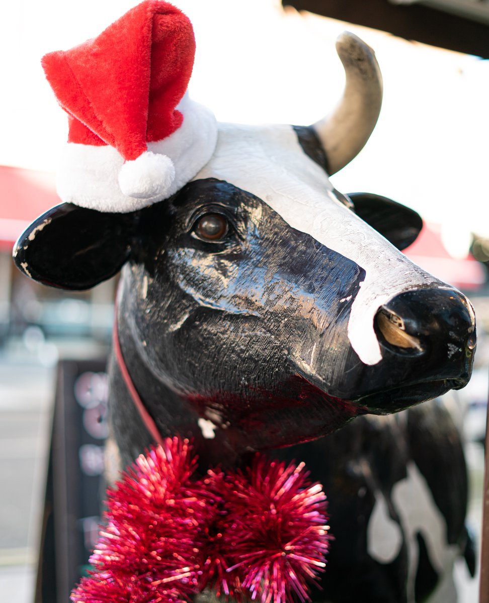 Merry Christmas from all of us here at Parson's Nose (including Daisy the cow!). 🎄 

#ParsonsNoseButchers #ButchersOfLondon