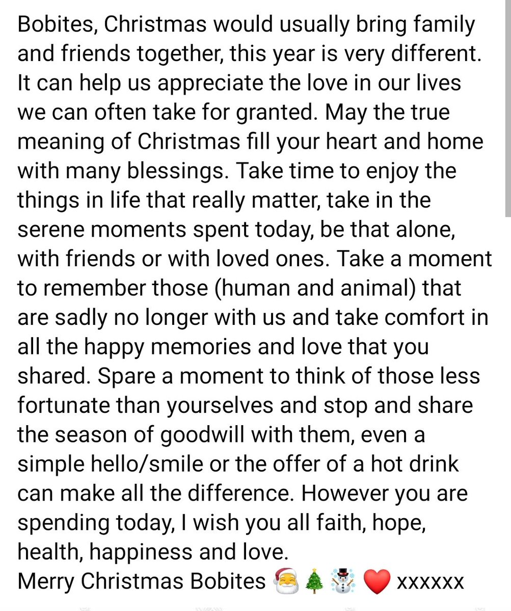 OfficialBobites's tweet photo. Merry Christmas Everyone! 🎅🎄☃️ https://t.co/izjSMfPp3x