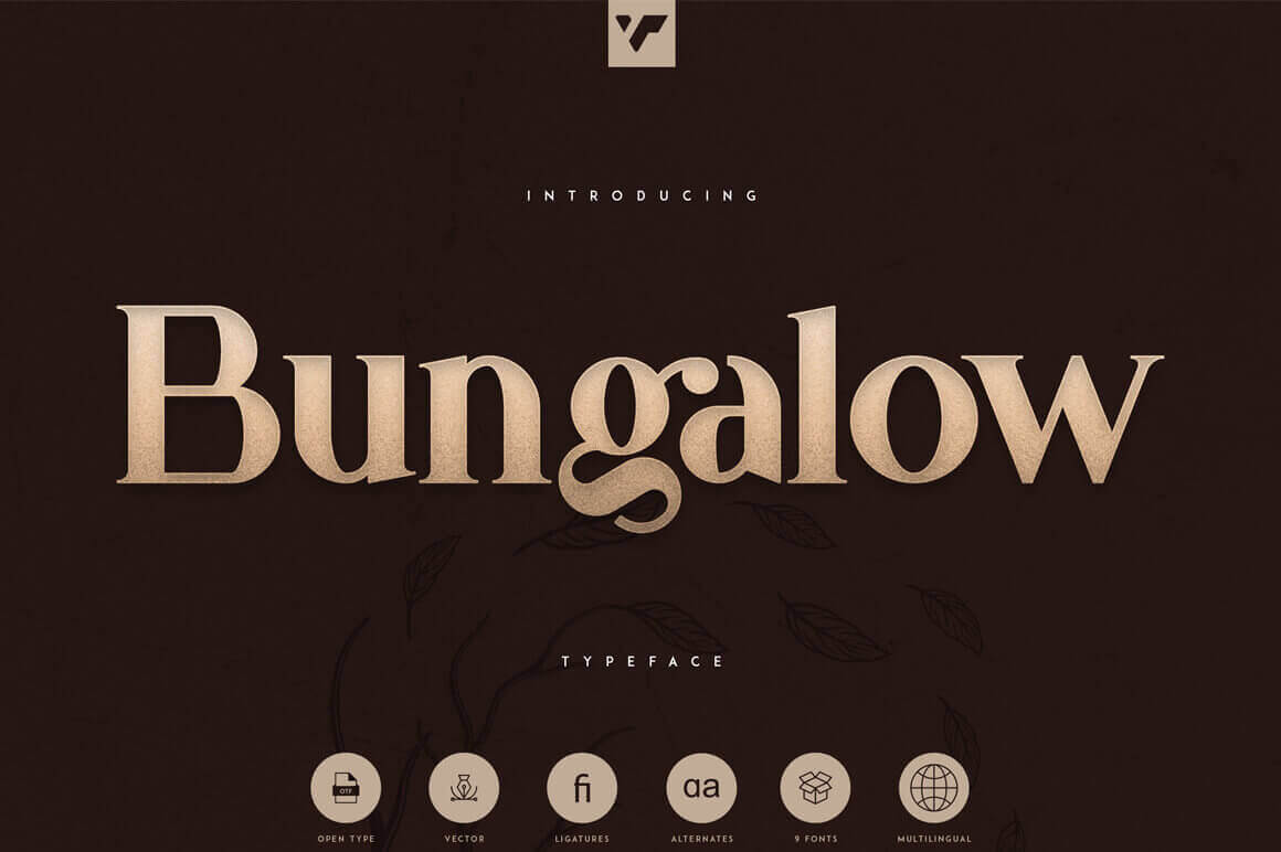 winsontang's tweet photo. Bungalow: 9 Vintage Fonts + Extras – only $5! https://t.co/i3QV73D1BF https://t.co/cRxrwA8tMt