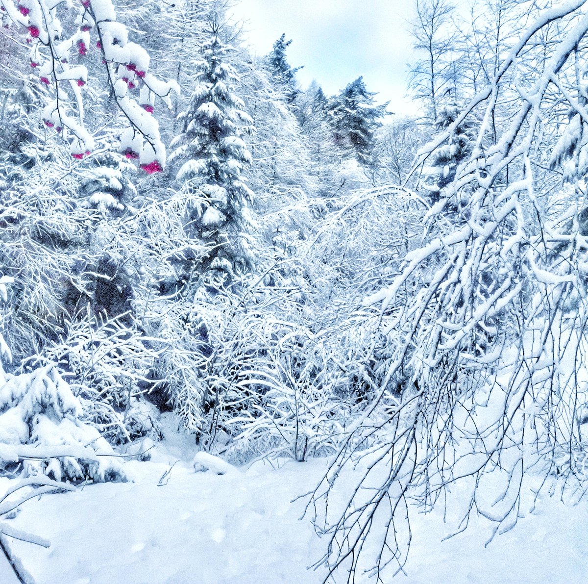 Get well soon, Earth 🤍