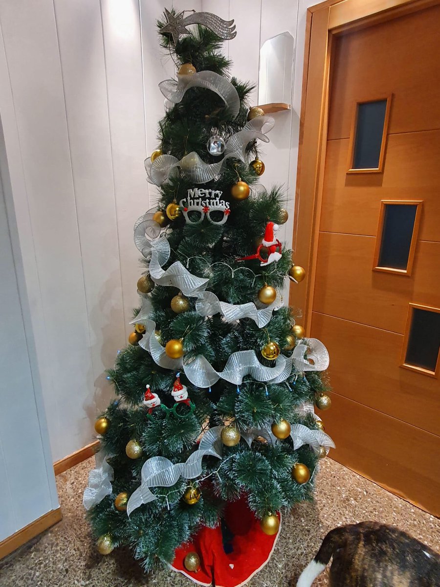 Fallahmariner's tweet photo. En este día de Navidad Rocío y Aleix Sanz Bratos comparten con nosotros su Belén y su Árbol de Navidad 🎄🎁🎅👏🏻👏🏻 https://t.co/MLThvFEe3d