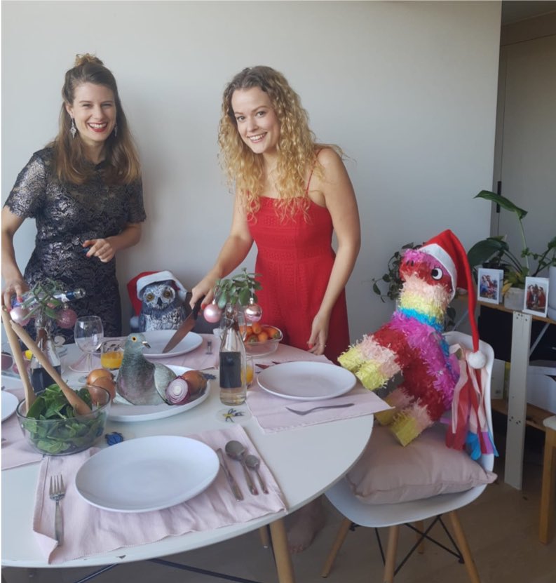 DrHannahSavage's tweet photo. 🎄Merry Christmas and happy holidays from #twogirlsinisolation, Stacey 🦉 and Dora 🦄 #3yearsofphotos @yaratoenders https://t.co/fGRKuMo5Jo
