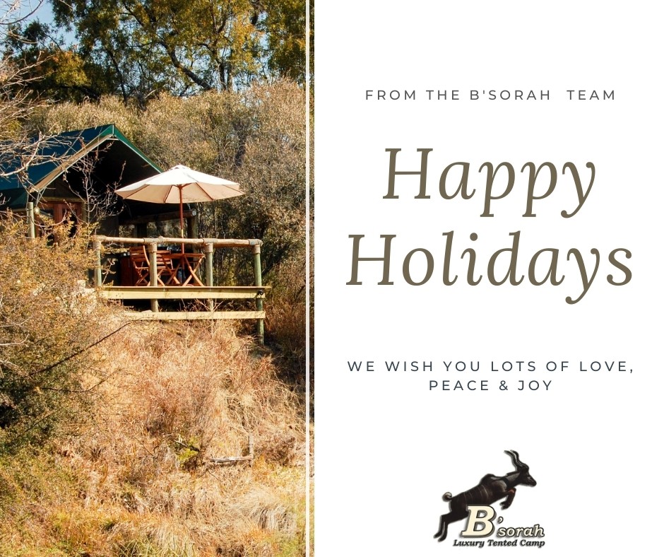 Happy holidays to all our loyal followers! May you all have safe journeys and thank you for your support through a challenging year. Be blessed! 
 bsorah.com 
#bsorahmoments #glamping #harties #magalies