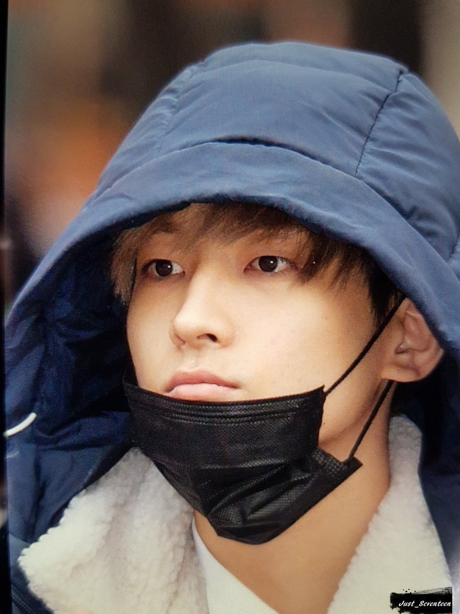 Barefaced Jeon Wonwoo— a gorgeous thread