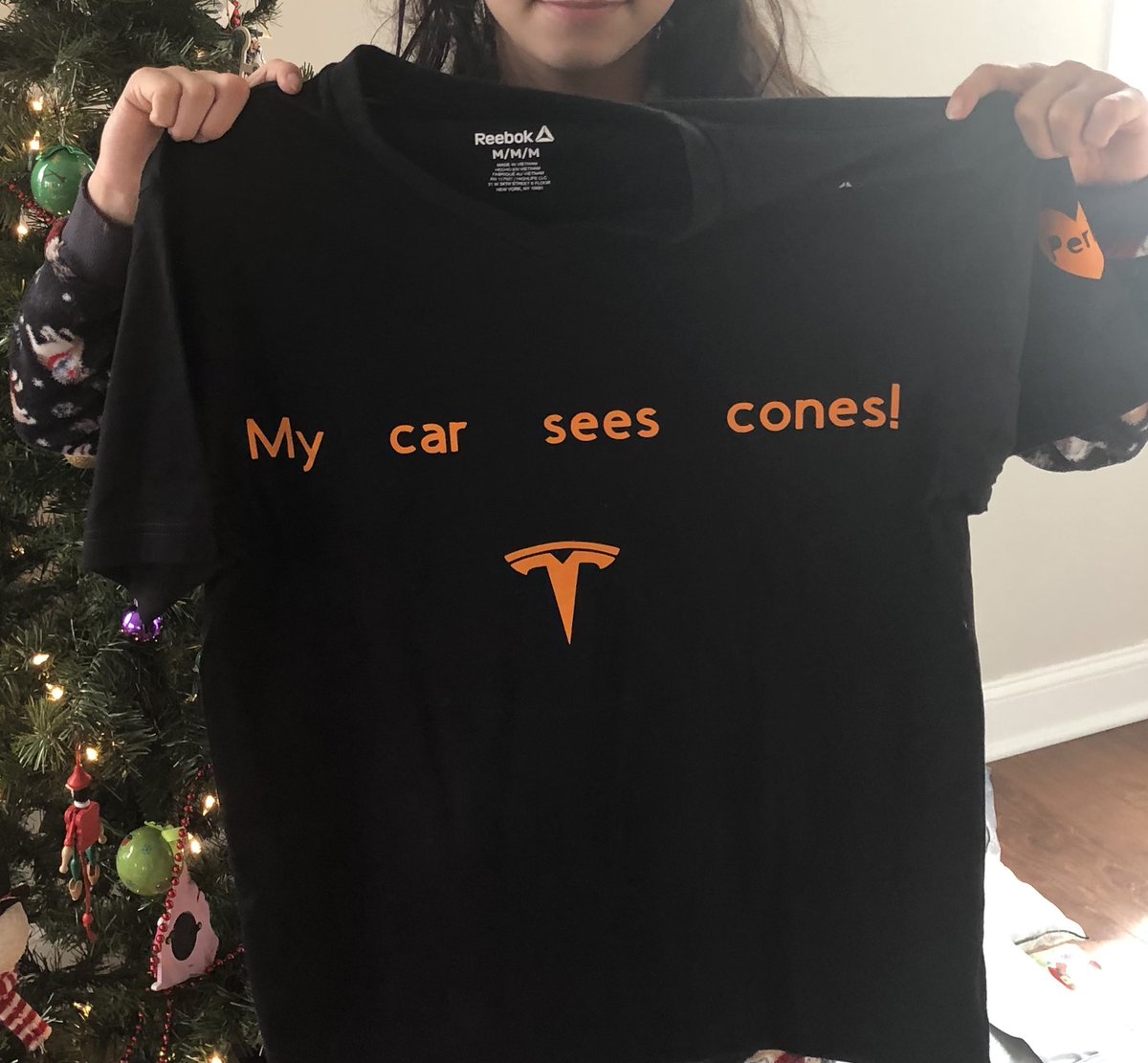 mdls0's tweet image. Daughter made it for me. Best Christmas present ever! @tesla @elonmusk #mycarseescones