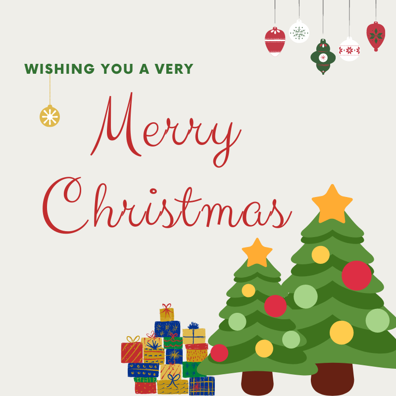 Merry Christmas from BMW of Bowling Green! ❄️ 🎄