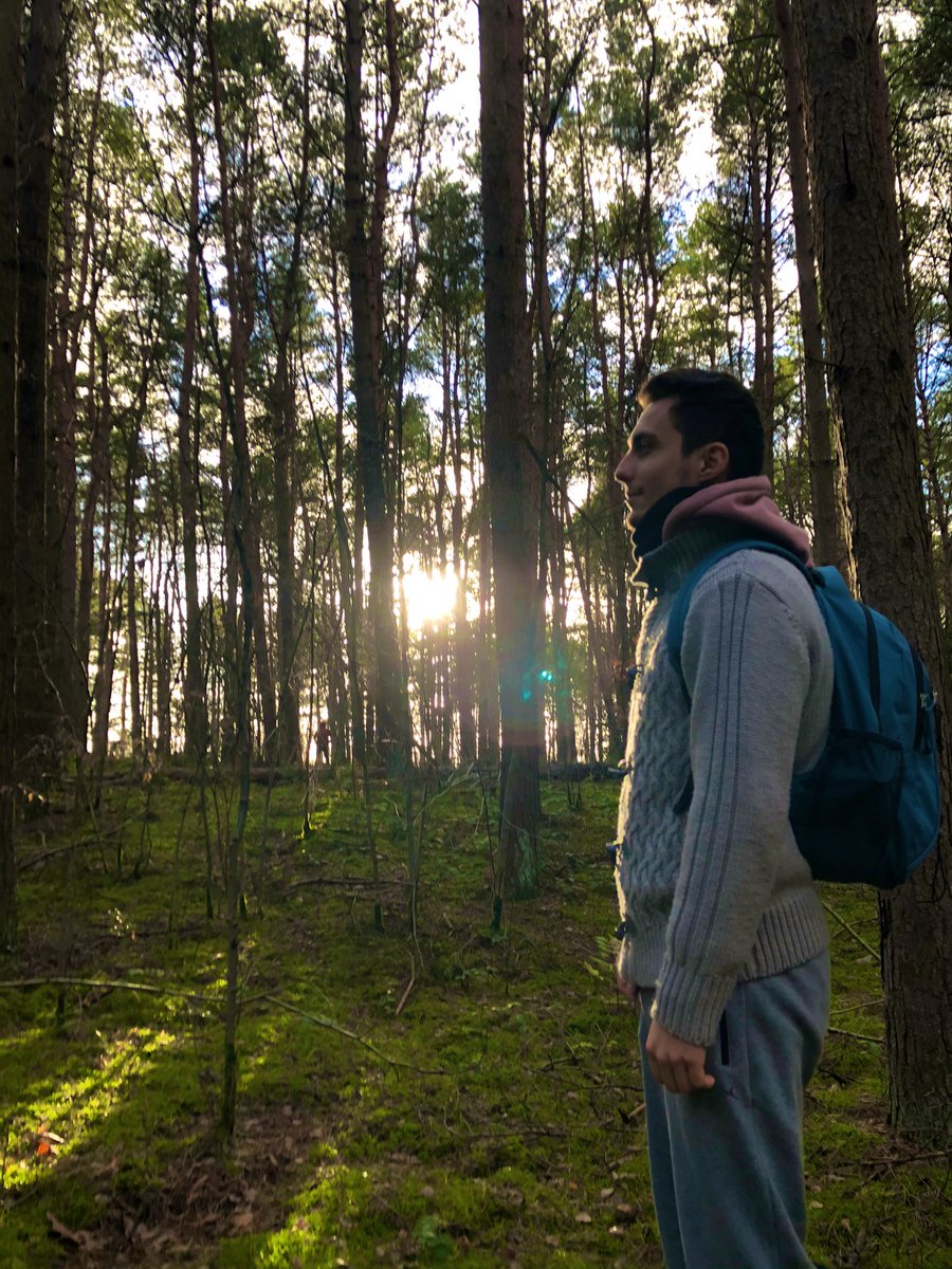 Mew1__'s tweet photo. I went for a walk in the forest with my brother, it was very beautiful #NatureBuff 

The Netherlands has a lot of beautiful places to offer! https://t.co/7OR9ldZDws