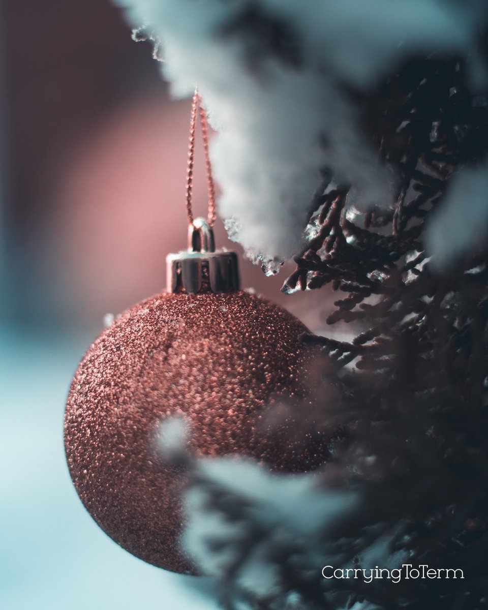 CarryingToTerm's tweet photo. Merry Christmas to you and your family, here on earth and in Heaven. May your day be filled with peace however you choose to celebrate. https://t.co/S8wSjR5Lrd