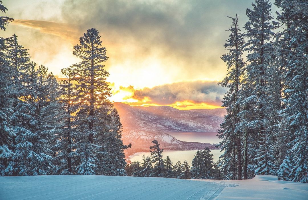 TahoeNorth's tweet photo. Merry Christmas, everyone. We hope that you're spending the day with those you love and, wherever you may be, that you're safe. Have a wonderful Christmas day 🎄
📷 @Northstar_CA https://t.co/rwfYQ7vW37