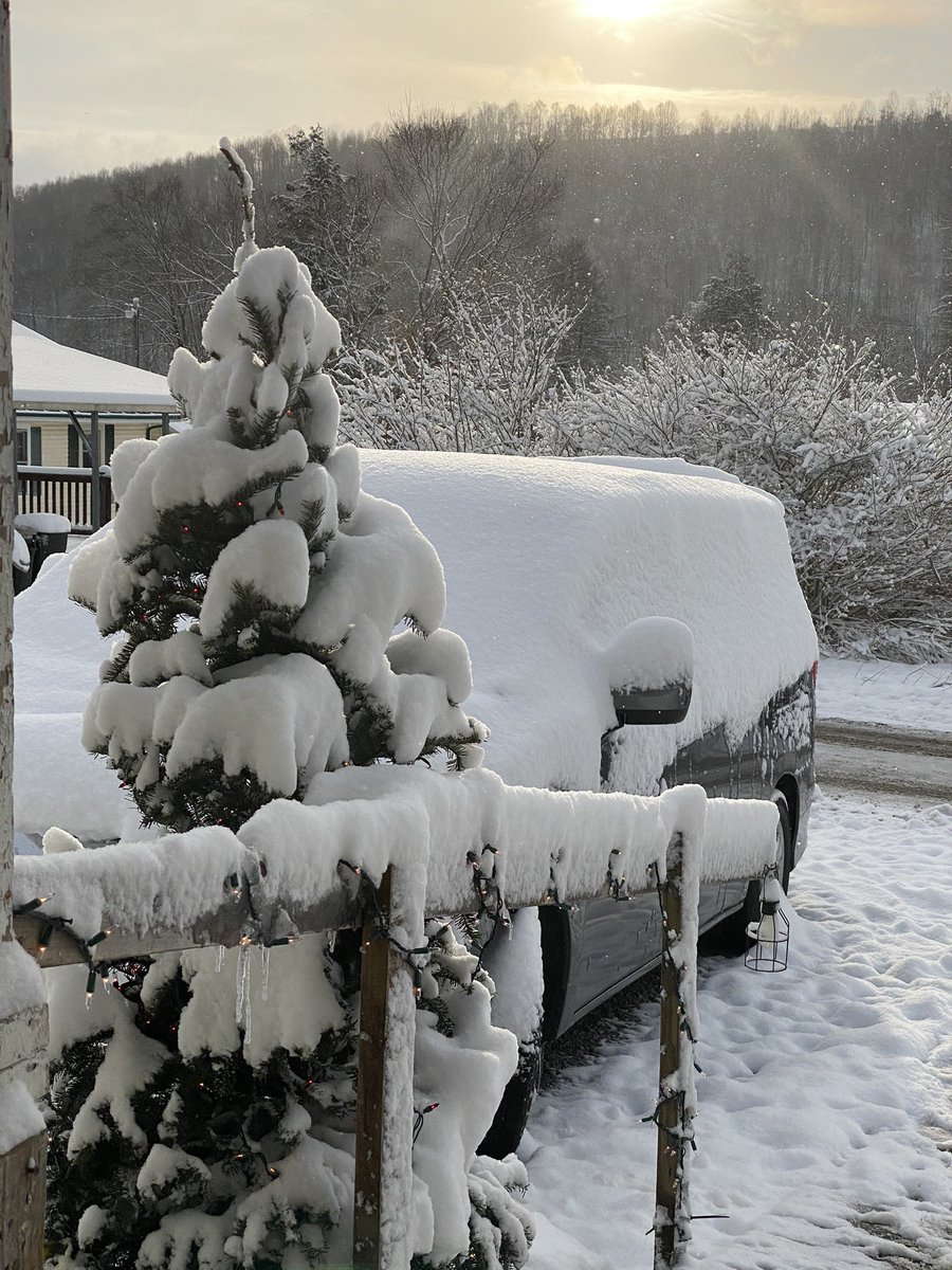 loricurt's tweet photo. Merry Christmas! May you be blessed &amp; have a wonderful day. #TeamSam 

This is Sam’s tree, his elf brings him a live tree each year with lights. It snowed yesterday evening so I’m sure he will be outside at some point today. 
It’s only 17* everything is frozen. https://t.co/HxwlPu408B