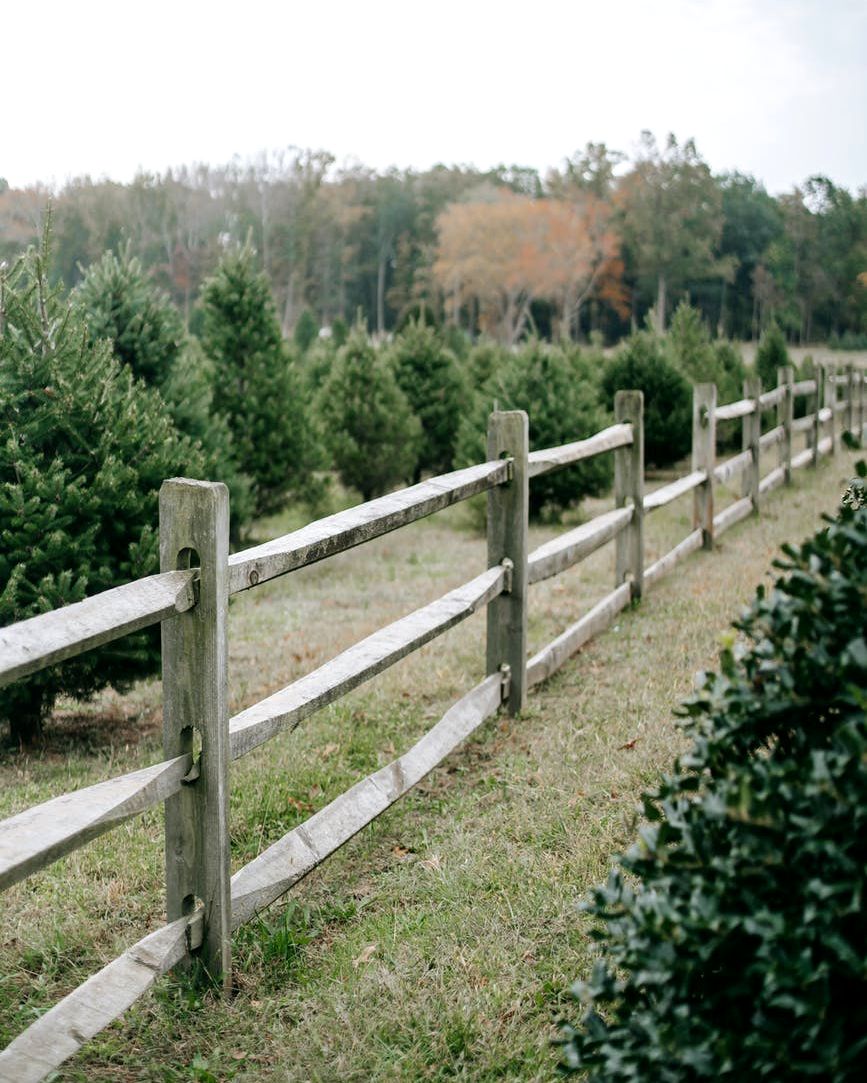 GaSelectFence's tweet image. We wish you a Merry Christmas, we wish you a Merry Christmas, we wish you a Merry Christmas aaaand a Happy New Year 🎄  ✨ 

#GASelectFence #Fence #McDonough #CowetaCounty #FayetteCounty #HenryCounty #Yard #BackYard #Home #House #HomeService