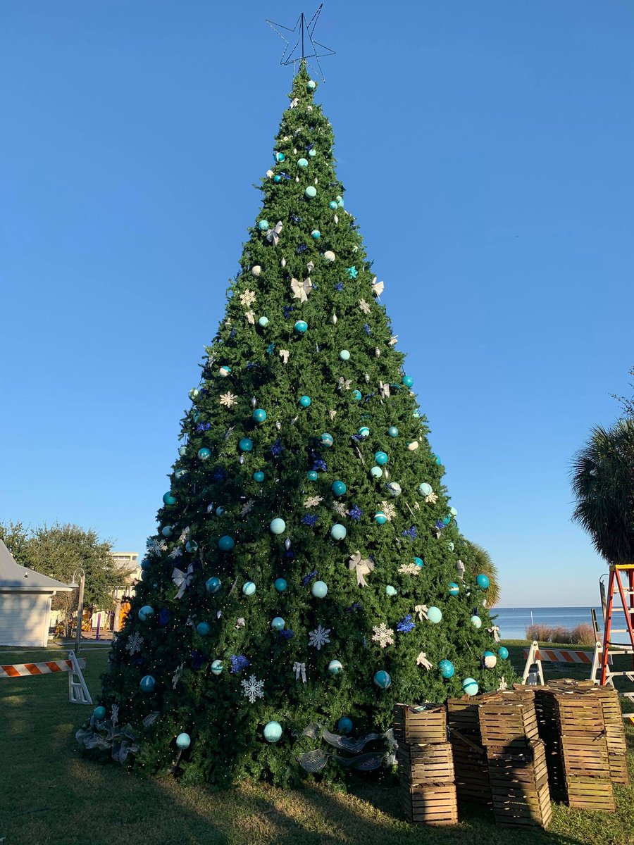 Merry Christmas from #LevyCountyFL! We hope you enjoy the day with your loved ones and friends. #VisitLevyCounty