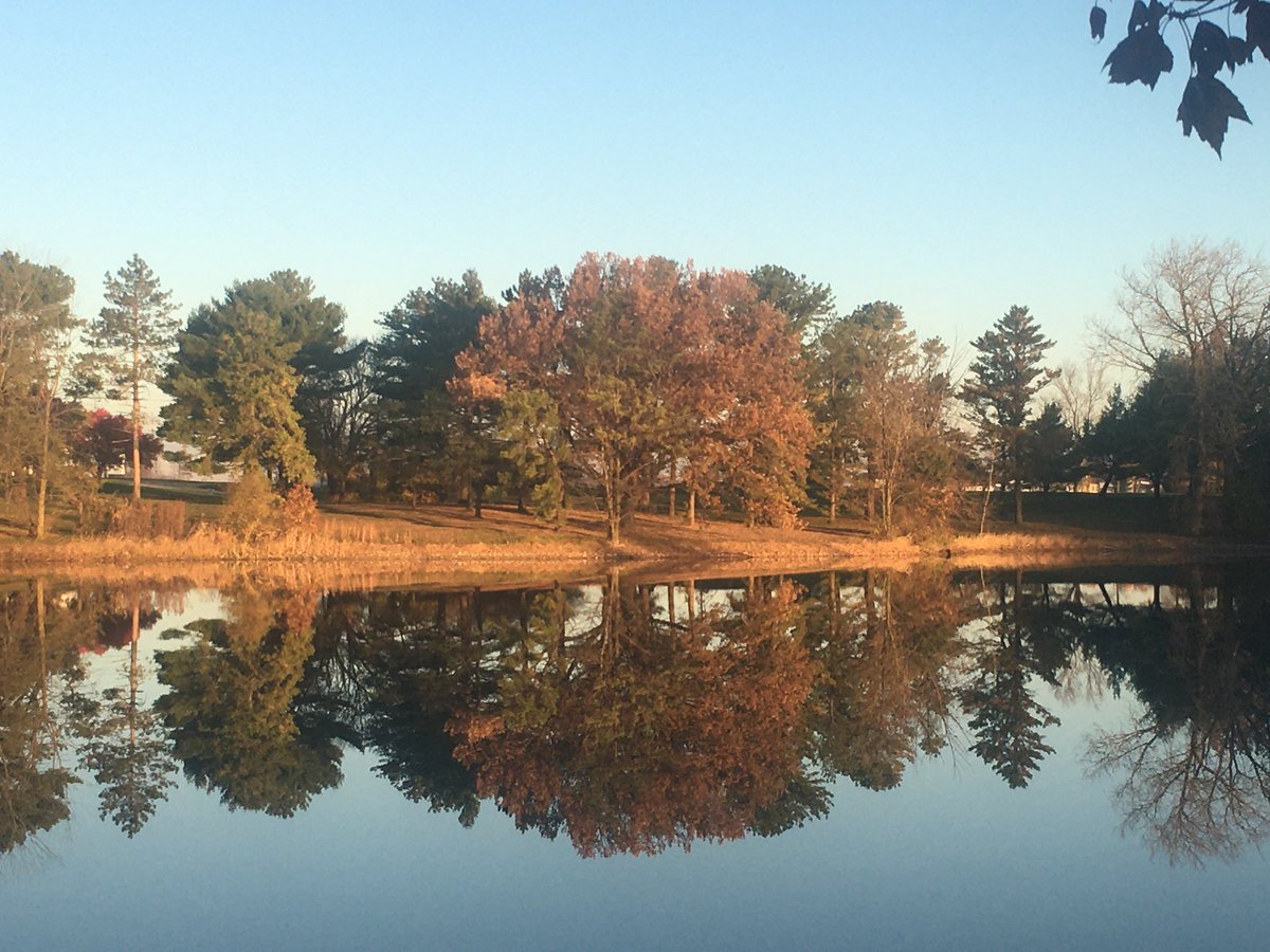 Mercer County Elks tweet media