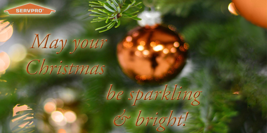 SERVPRONWSA's tweet photo. We all have a child-like wonder today – hoping for new "toys" &amp; "treats." But...the TRUE gifts are the treasured people &amp; SERVPRO of Northwest San Antonio considers ourselves lucky to be blessed with the gifts of your friendship, loyalty &amp; trust! So #MerryChristmas to one &amp; all! https://t.co/nMzmzKr0Xa
