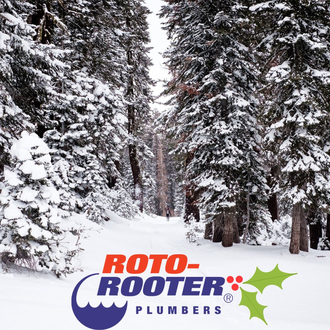 What a year! Merry Christmas to all.