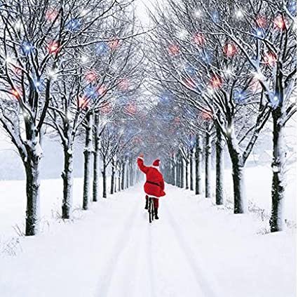 A Merry Christmas and a Happy New Year to all of our members, friends and followers!!