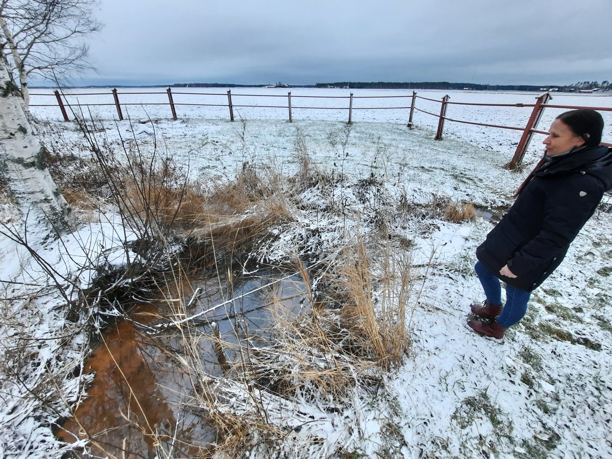 Finndruid's tweet photo. We were honouring our ancestors at Levänluhta Iron Age water burial site today. #levänluhta #IronAge #isokyrö #osthrobotnia https://t.co/WCrhCDZJlR