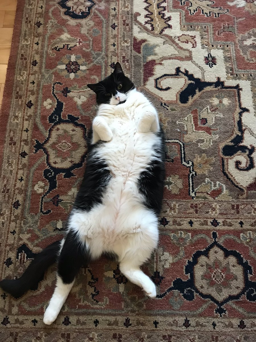 Excuse me? I AM the gift 🎁