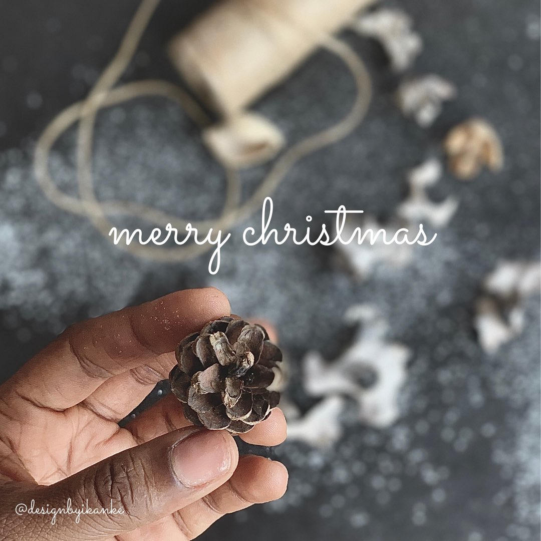 IkankeIsong's tweet photo. Merry Christmas to you and yours!!! https://t.co/1zC0cDimv4