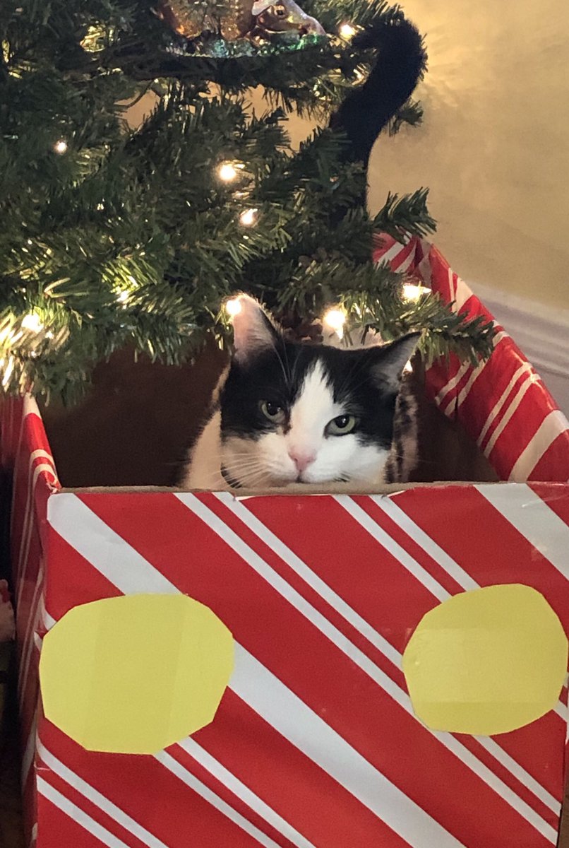 Merry Christmas to all superintendents across the great state of West Virginia, the United States and all over the world. Enjoy the day.