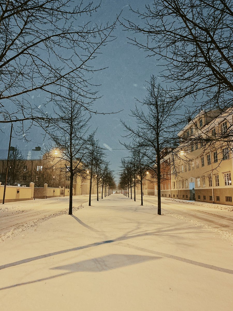 ถ่ายตอนบ่ายสามแต่มันก็เริ่มมืดแล้ว ยังดีที่วันนี้หิมะตกเยอะเลยดูสว่างขึ้นบ้าง ❄️☃️ White Christmas คือดีย์