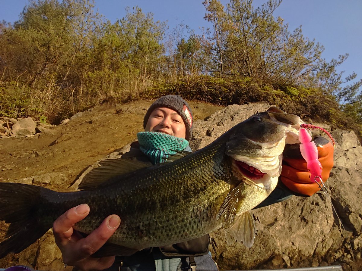 Desidesi36 Desidesi362 Twitter