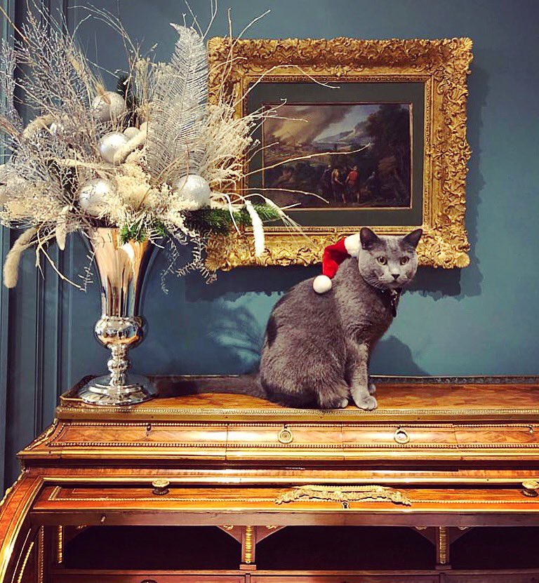 Season’s greetings from the bottom of our hearts! 🎄🎁
#christmas #merrychristmas #winter #christmastree #patiodesign #italianstyle #hotel #parisianhotel #castilleparis #starhotelscollezione