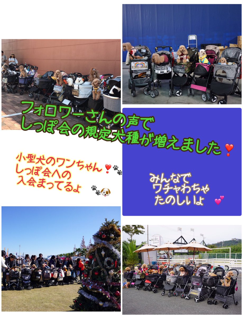 shippokai's tweet photo. フォロワーさんの声リクエストにより❗️

しっぽ会の入会方法と犬種規定が変わりました。❣️❣️

全国でメンバーちゃんを募集しております。
入会希望の方　下記を確認の上DM下さいね。　　　　　　　　　　　　　　　　

#しっぽ会　#わんわんパトロール隊　
　　　　　　　　　　　　　【拡散❣️拡散】 https://t.co/ct7gg69uyv