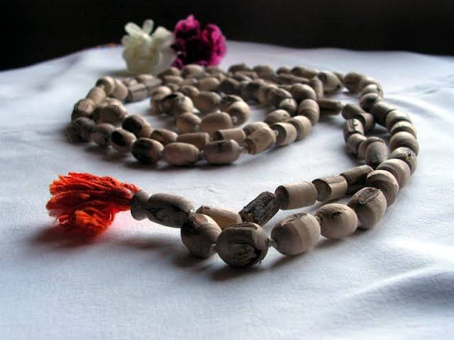 USING TULSI MALA #TulsiPujanDiwas Garuda Purana says that Sri Vishnu stays with the person who wears Tulsi beads.The japmala has 108 beads plus one. The 108 beads refer to chanting 108 names of Prabhu/chanting a mantra 108 times. One larger bead is called Krishna bead.